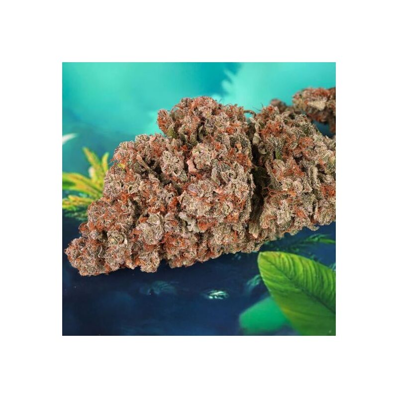 Auto Red Tropicana Cookies, Фасовка: 3, изображение 5